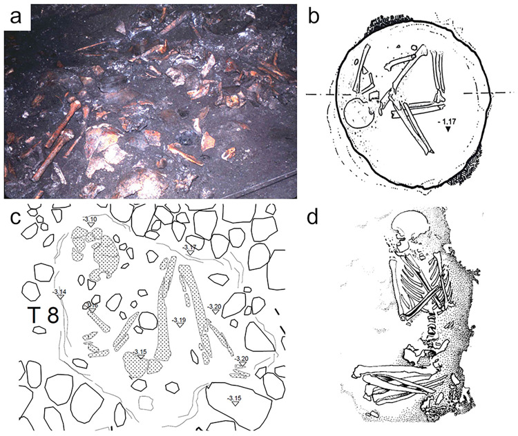 Fig 3