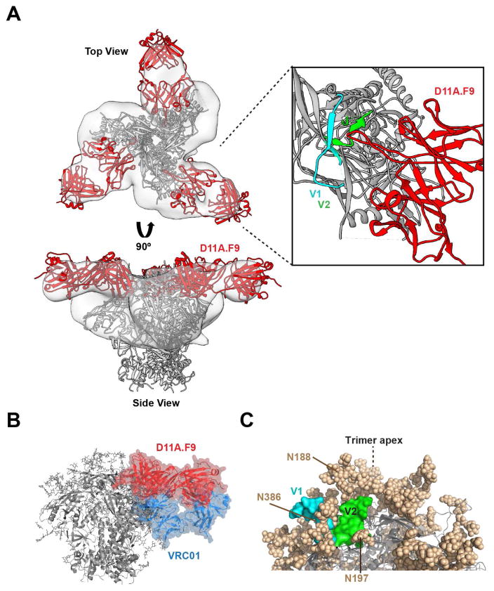 Figure 7