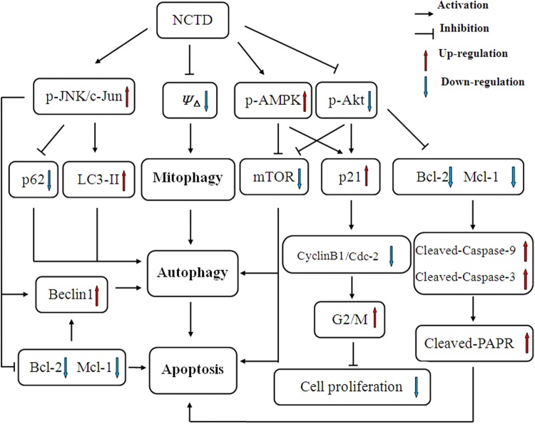 Figure 7.