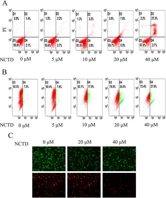 Figure 3.