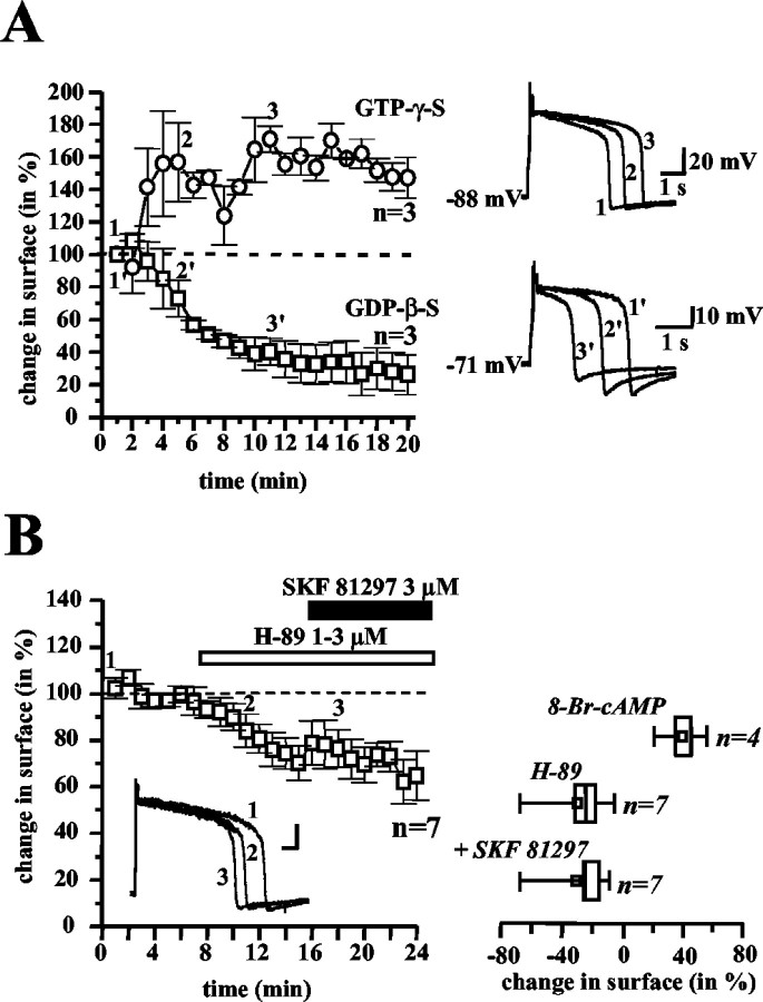 Fig. 8.