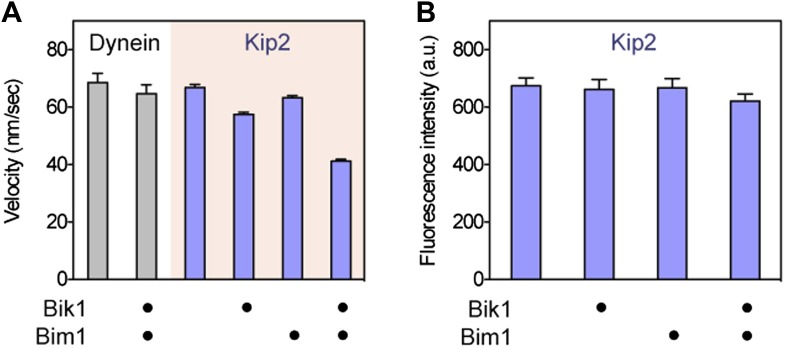 Figure 3—figure supplement 1.