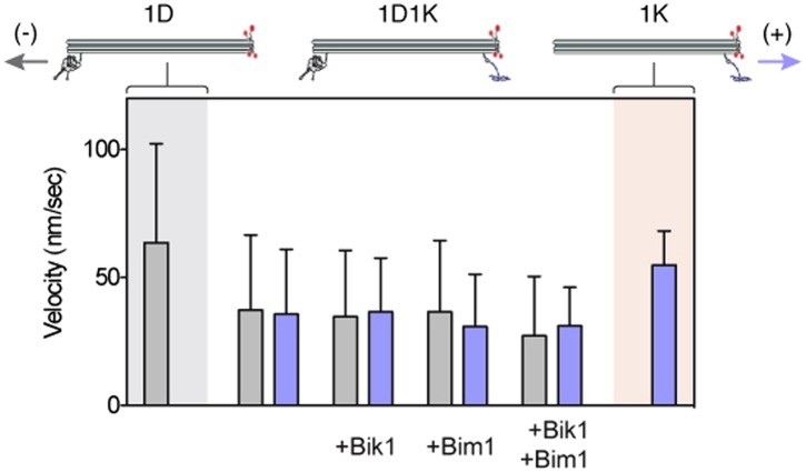 Figure 4—figure supplement 1.