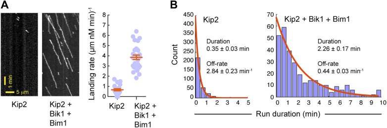 Figure 3—figure supplement 2.