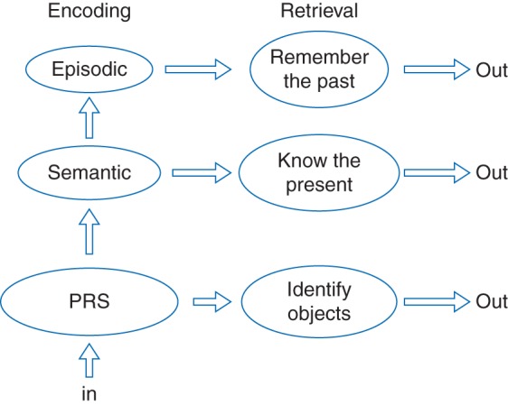 Fig 1