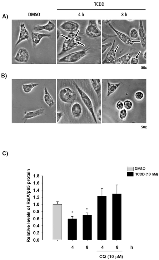 Fig. 8.