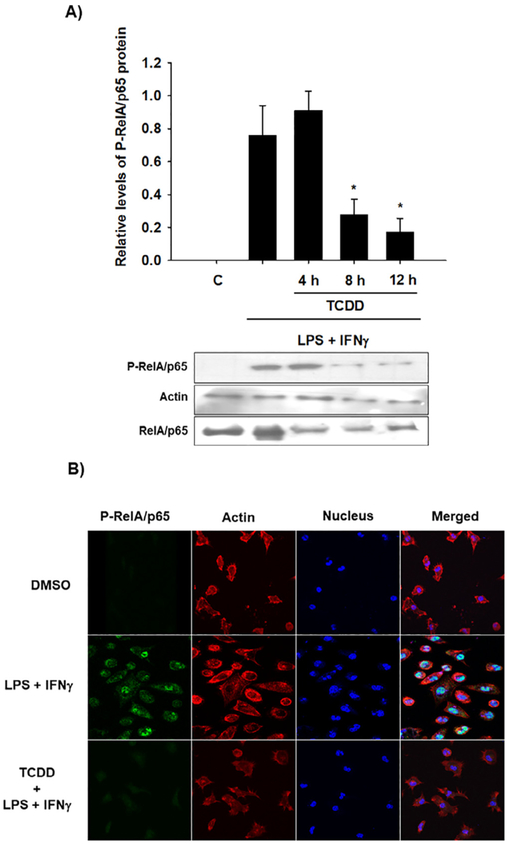 Fig. 6.