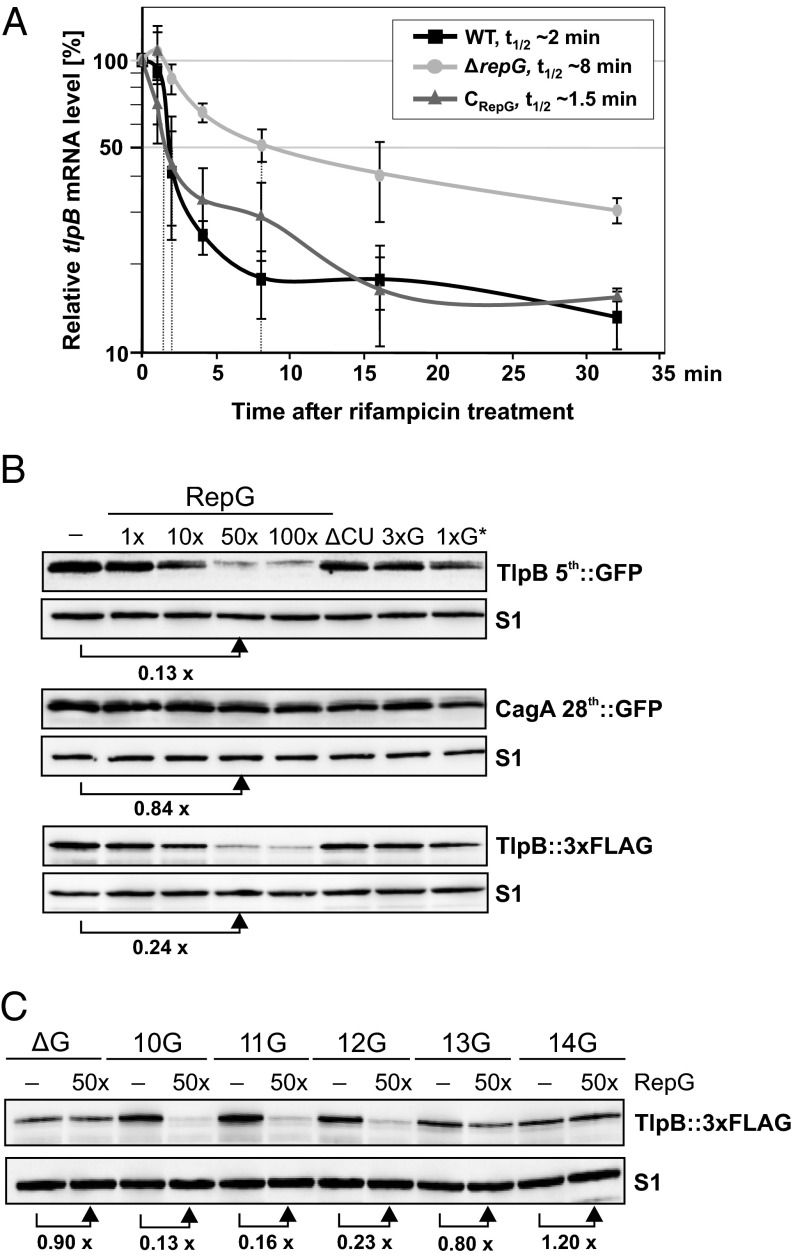 Fig. 6.