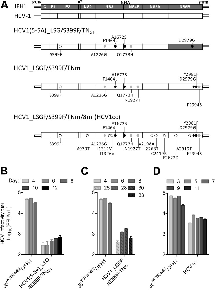 FIG 1