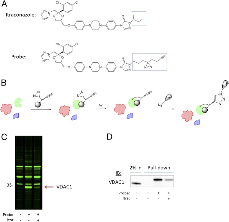 Fig. 1.