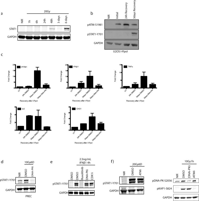 Extended Data Figure 1