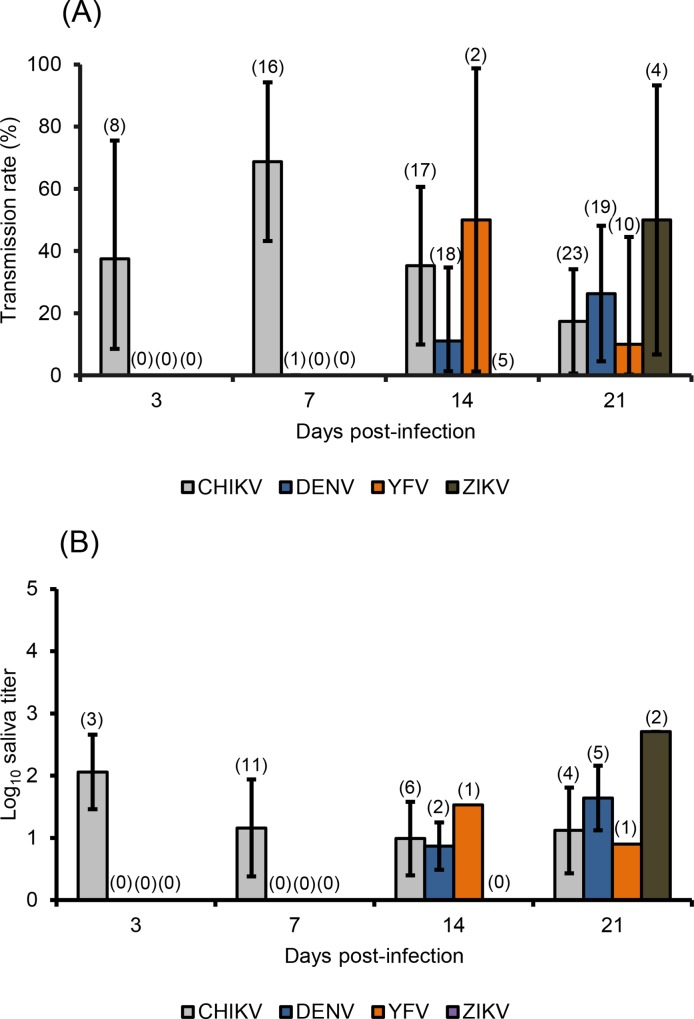 Fig 3