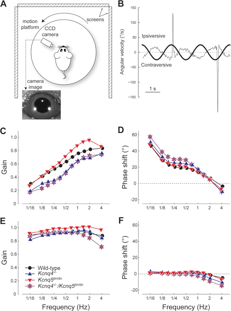 FIGURE 7.