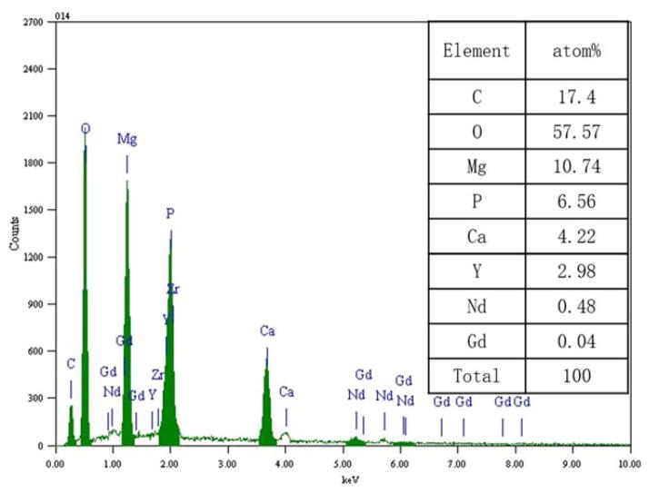 FIGURE 4