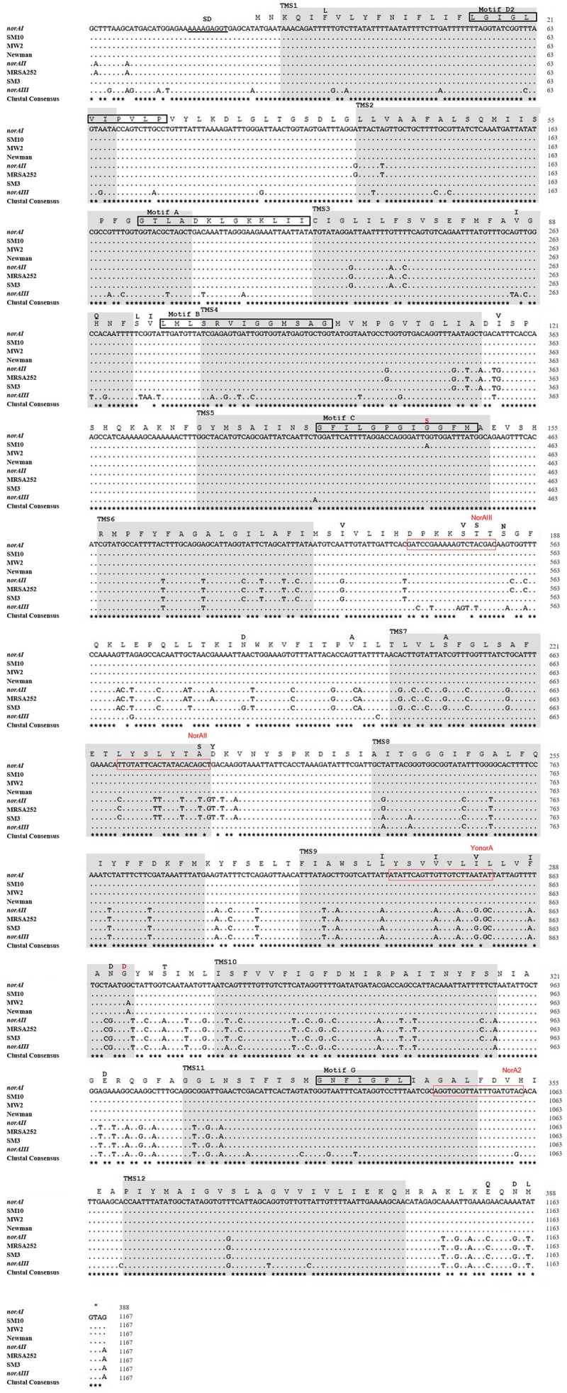 FIGURE 4