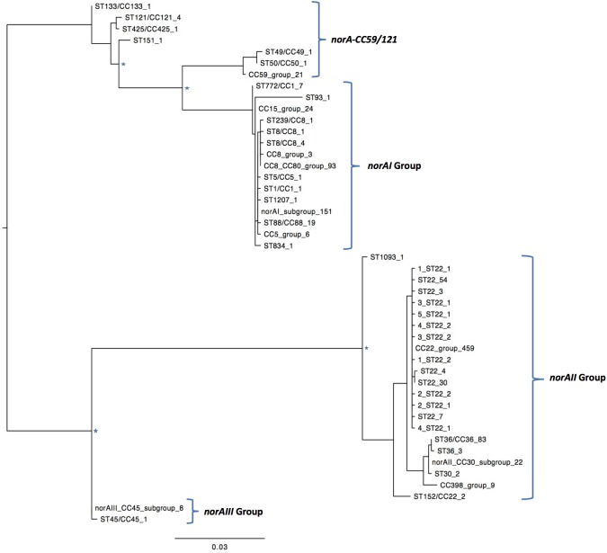 FIGURE 2