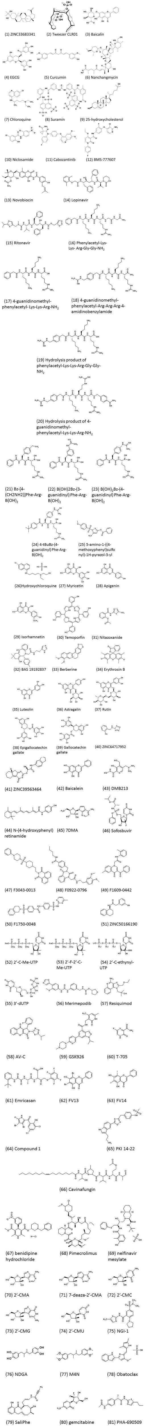 FIGURE 3