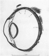 464-2