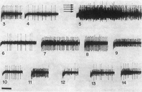 graphic file with name pnas00134-0200-a.jpg