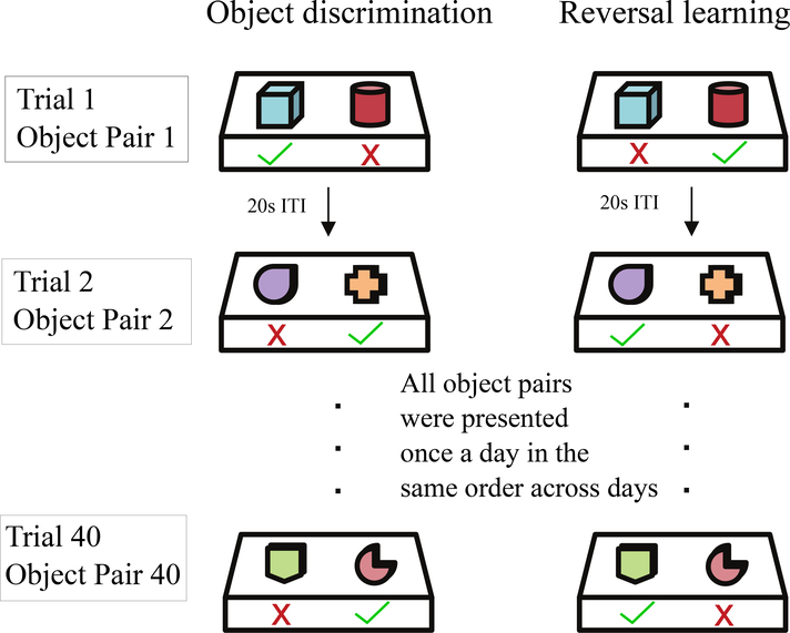 Figure 1: