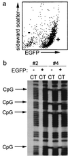 FIG. 8