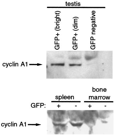 FIG. 7