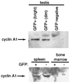 FIG. 7