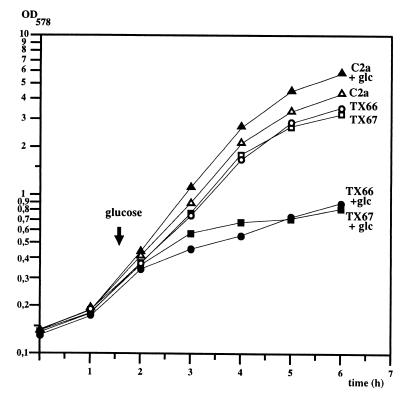 FIG. 4