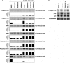 Fig. (3)