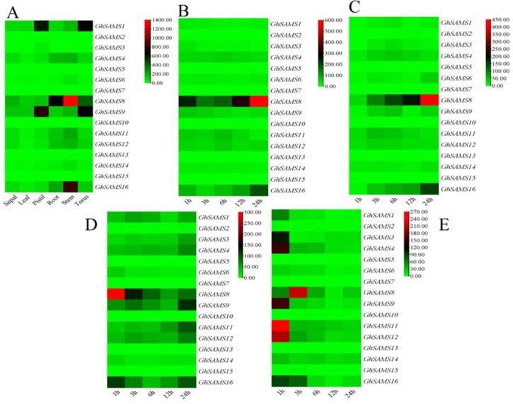 Figure 6