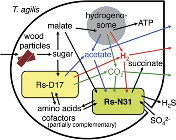 Figure 5