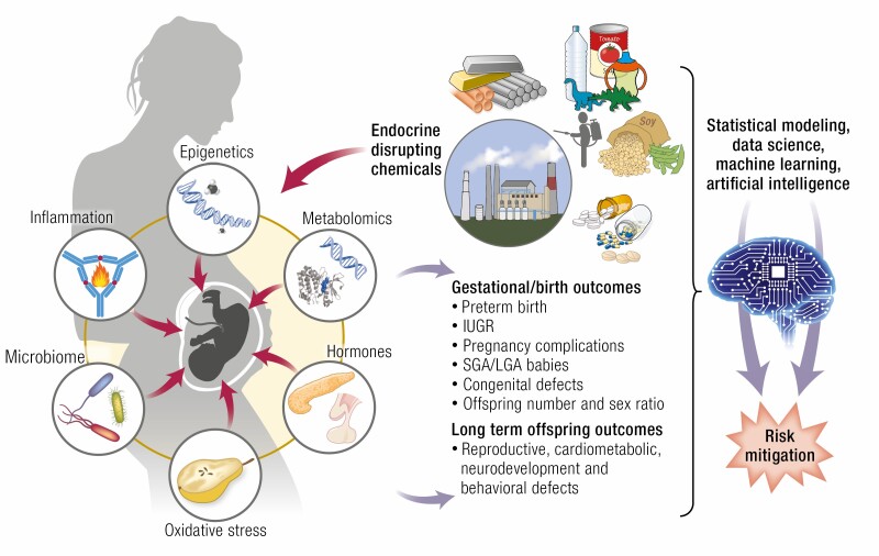 Graphical Abstract