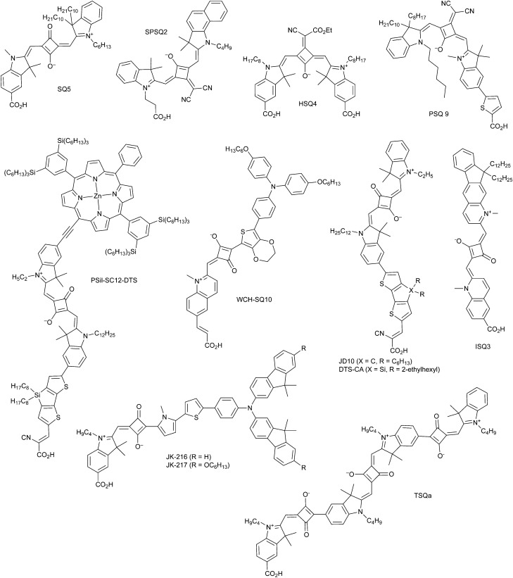 Fig. 25