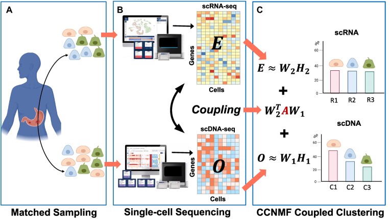 Figure 1.