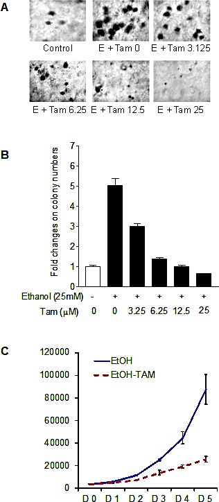 Fig.6