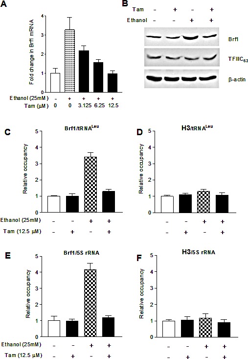 Fig.3