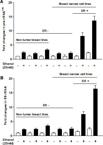 Fig.1