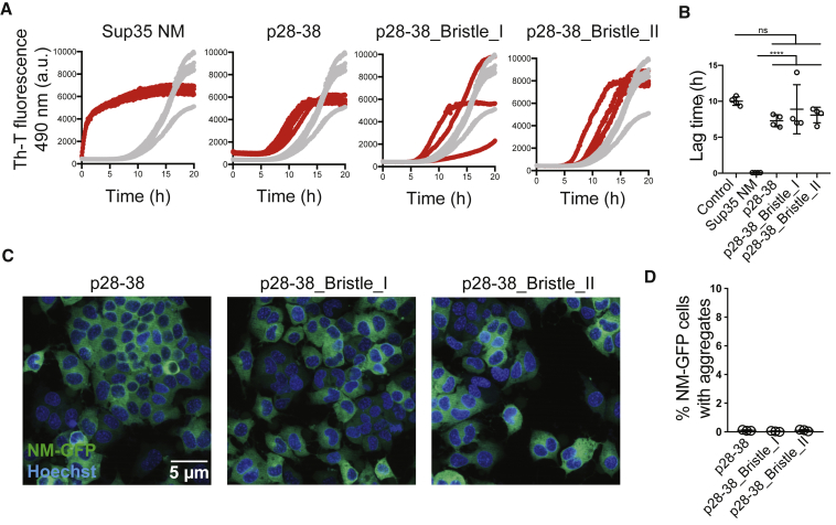 Figure 6