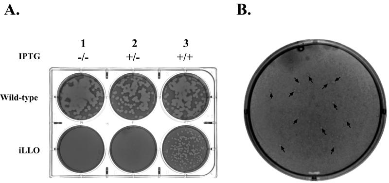 FIG. 6.