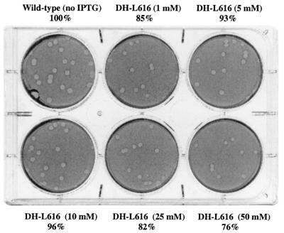 FIG. 8.