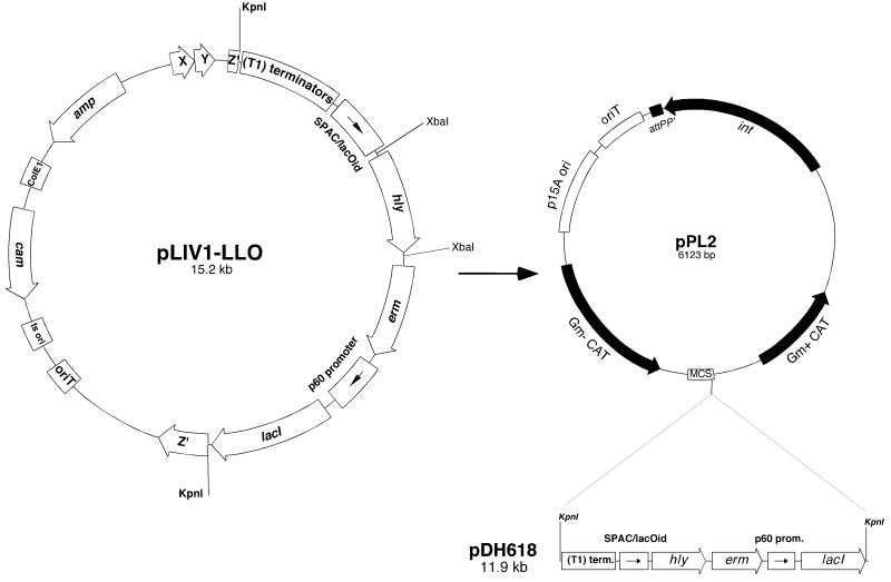 FIG. 7.