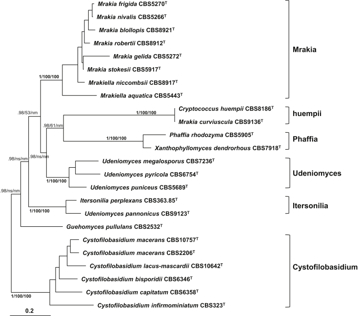 Fig. 2