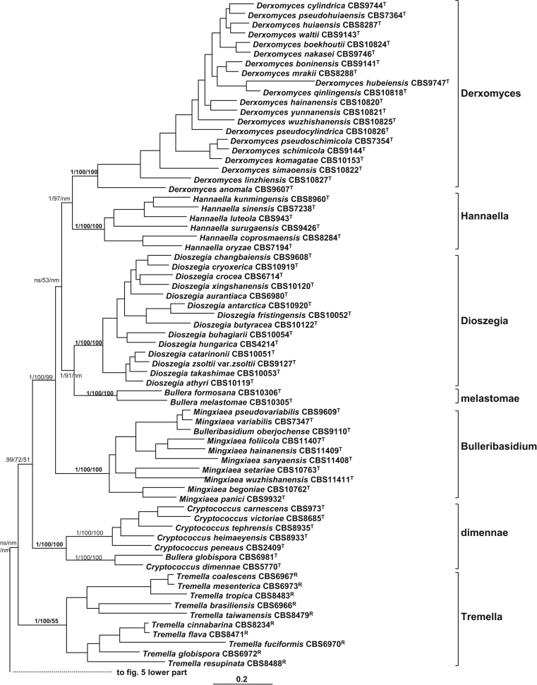 Fig. 6