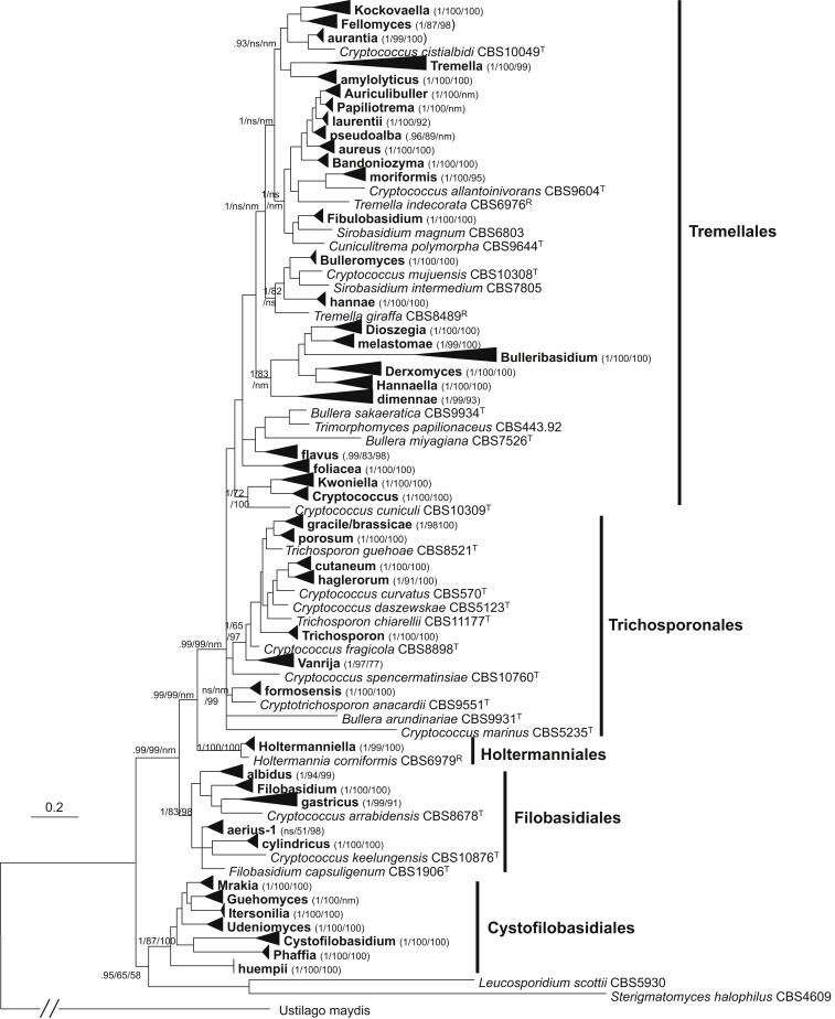 Fig. 3