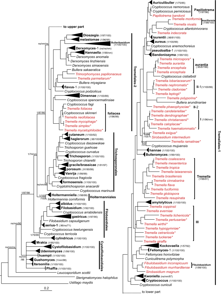 Fig. 7