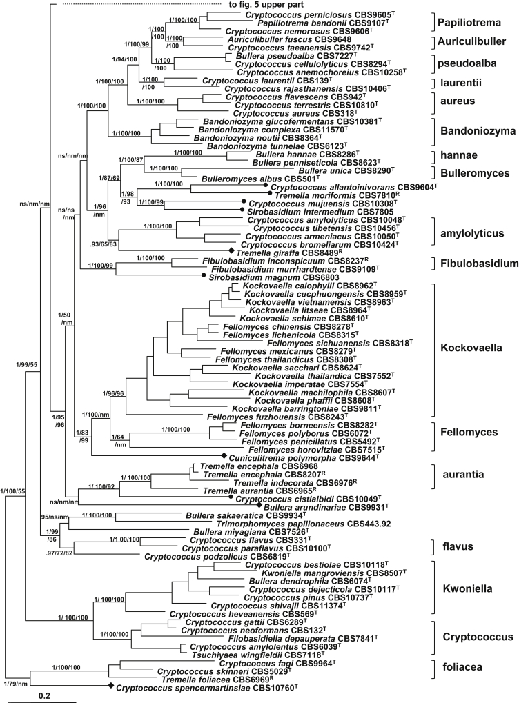 Fig. 6