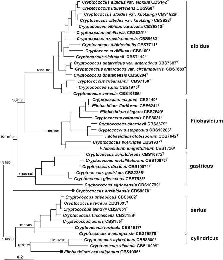 Fig. 4