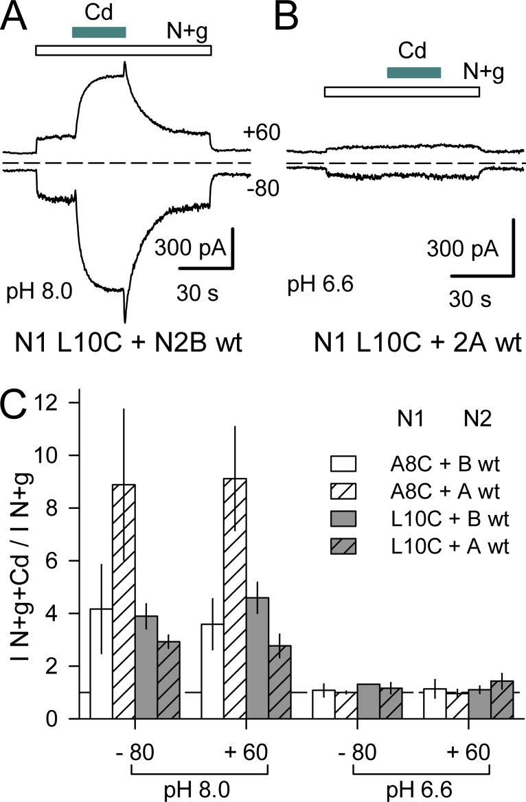 Figure 12.