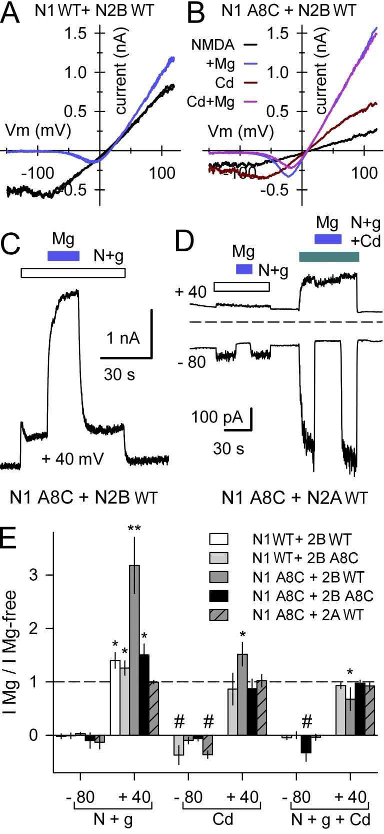 Figure 11.