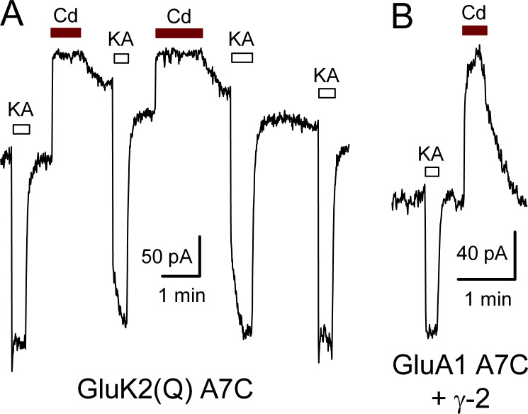 Figure S1.